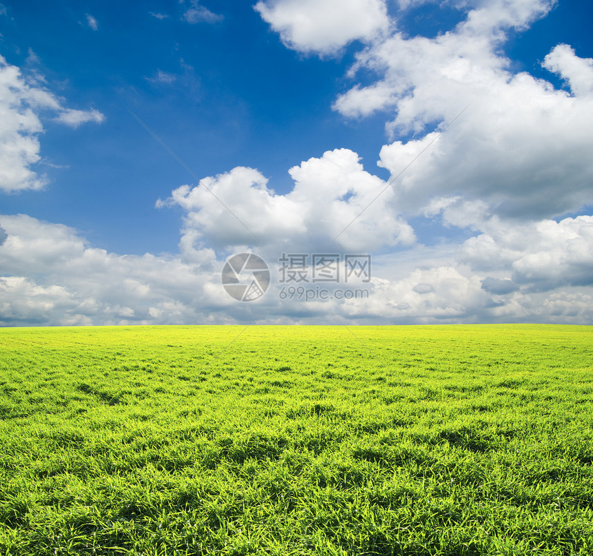 字段土地阳光全景植物天气远景绿色草地农业风景图片