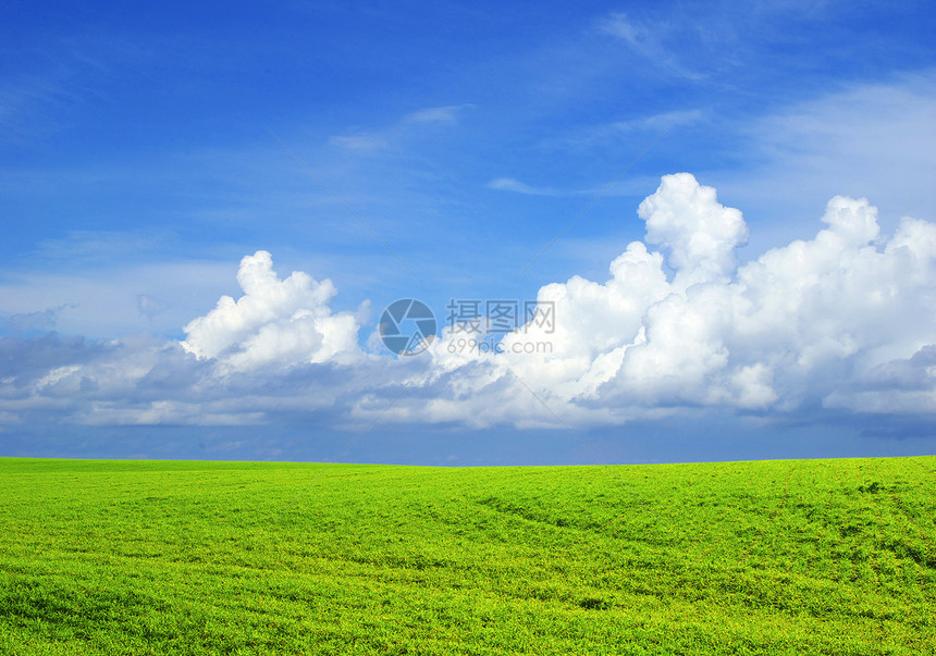 字段场地农场乡村远景植物土地绿色农业阳光牧场图片