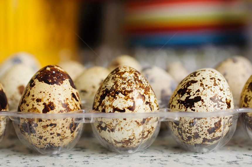 Quail 鸡蛋熟食食物鹌鹑脆弱性盒子宏观美味纸板母鸡托盘图片