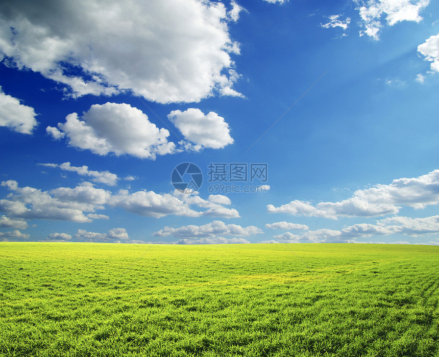 字段场地阳光绿色牧场远景天气草地植物土地农业图片