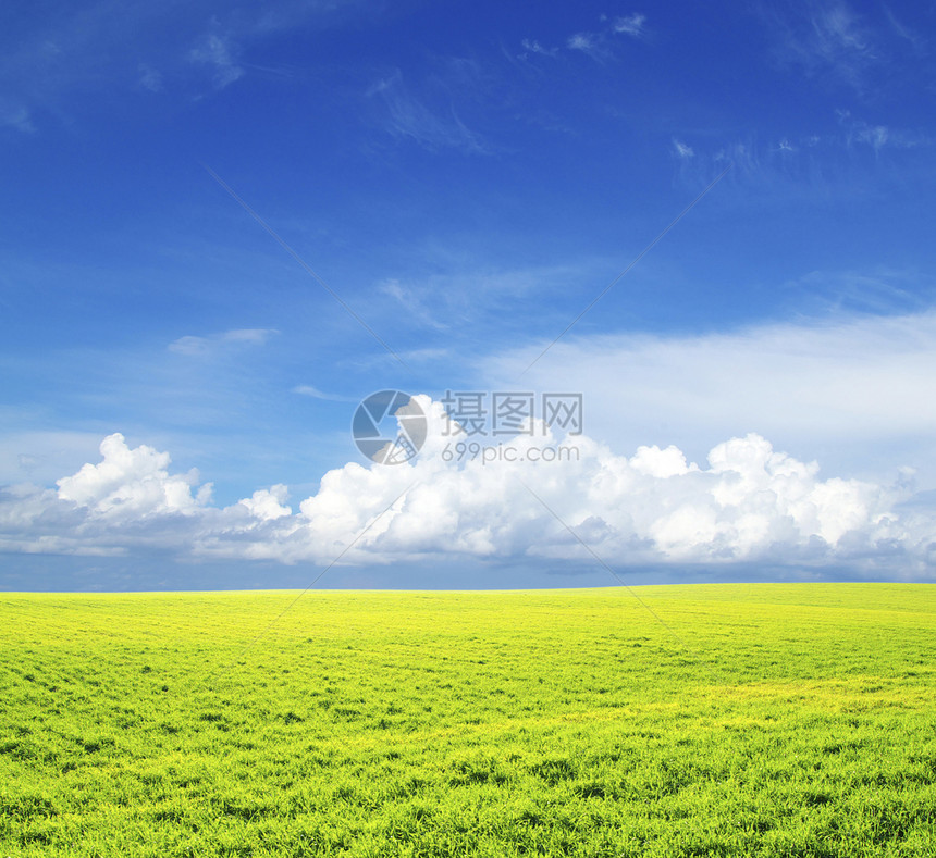 草地绿色风景乡村牧场农场土地农业地平线天气场地图片