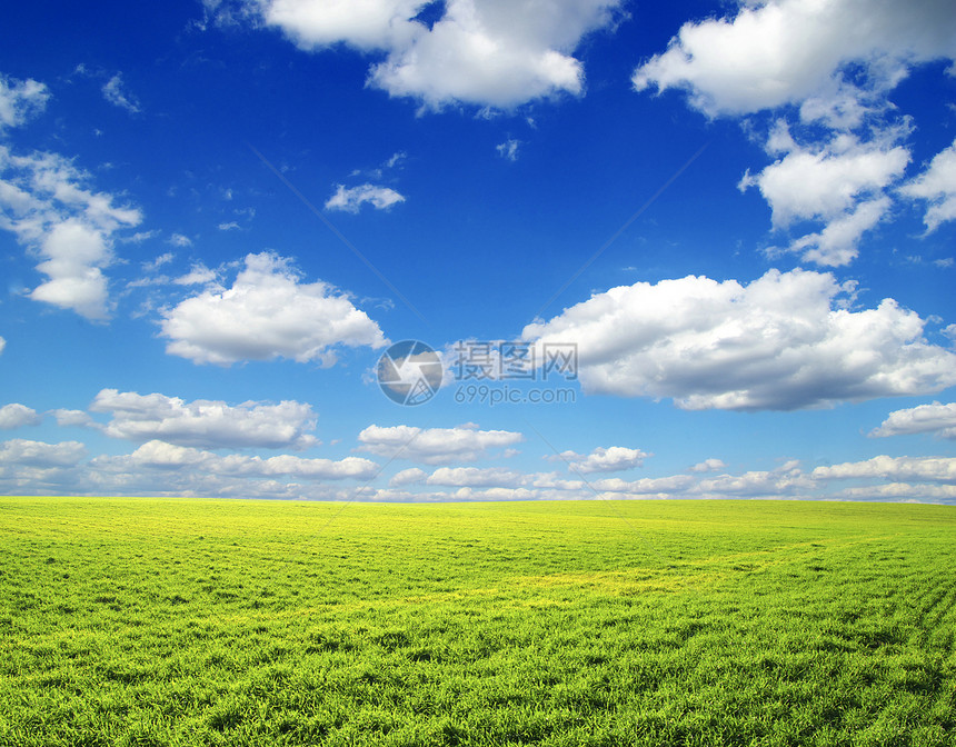 字段土地场地季节农业绿色全景远景地平线阳光风景图片