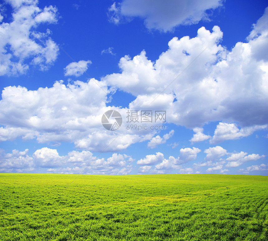 字段土地绿色地平线天气季节农场乡村植物全景牧场图片