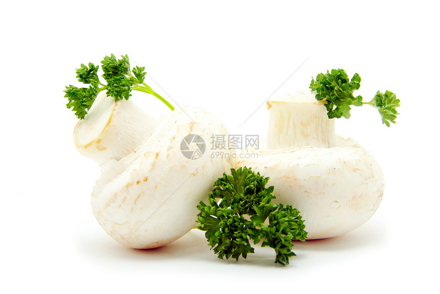 蘑菇花园营养白色食物蔬菜图片