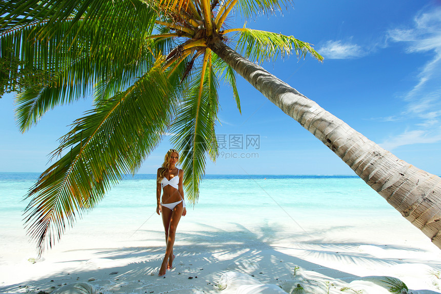 棕榈下的妇女海岸女孩植物女性海洋海滩太阳温泉蓝色热带图片