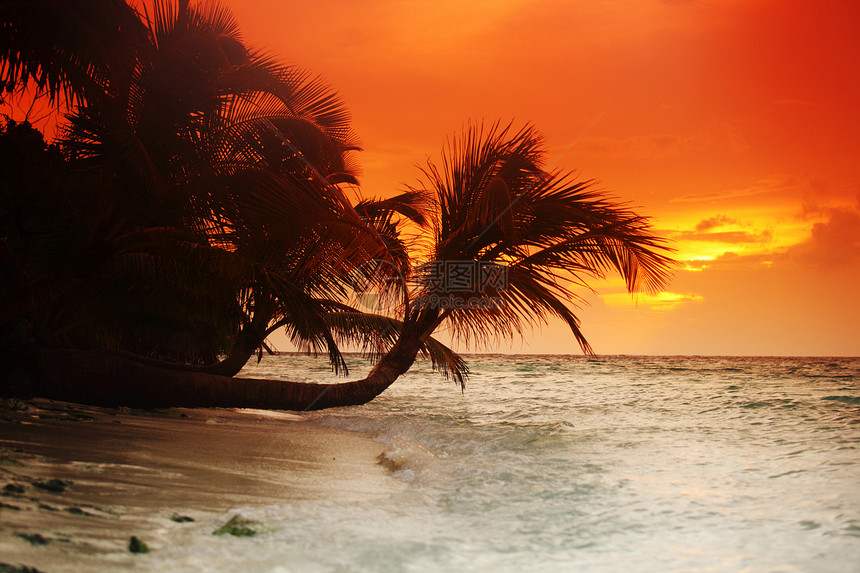日落在海中金子海洋热带假期海岸线阳光晴天橙子太阳天空图片