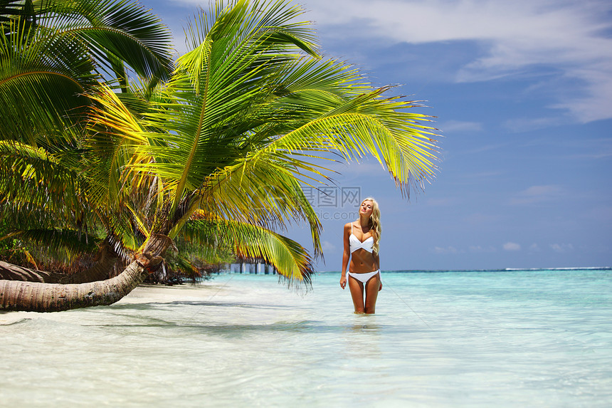 棕榈下的妇女海景太阳温泉蓝色天堂天空海岸热带棕褐色游客图片