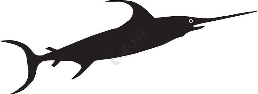尖嘴条纹鱼角鱼黑色白色眼睛生活漂浮食物条纹艺术插图游泳设计图片