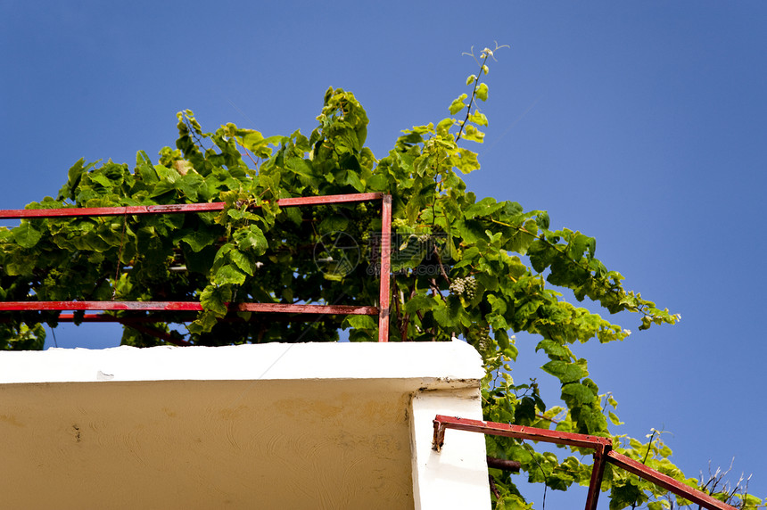 马 提拉街道建筑蓝色阳光房屋植物小城天空房子花园图片