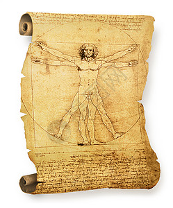 达芬奇手稿莱昂纳多的维特鲁维亚人的旧羊皮纸文档生物学手稿解剖学艺术古董生活历史男性插图背景