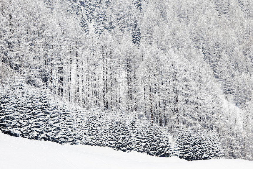 积雪中的森林降雪暴风雪旅行季节蓝色场景气候太阳高地公园图片