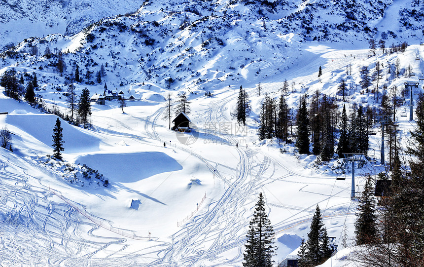 美丽自然假期森林降雪滑雪季节场景顶峰阳光蓝色旅行图片