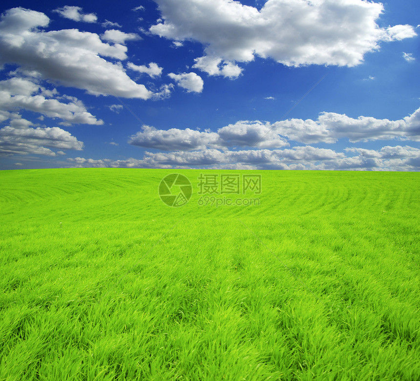 字段阳光农业天气农场植物乡村土地远景季节全景图片