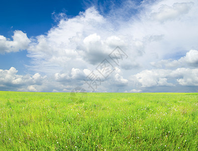 字段场地阳光草地土地远景全景乡村天气农业天空背景图片