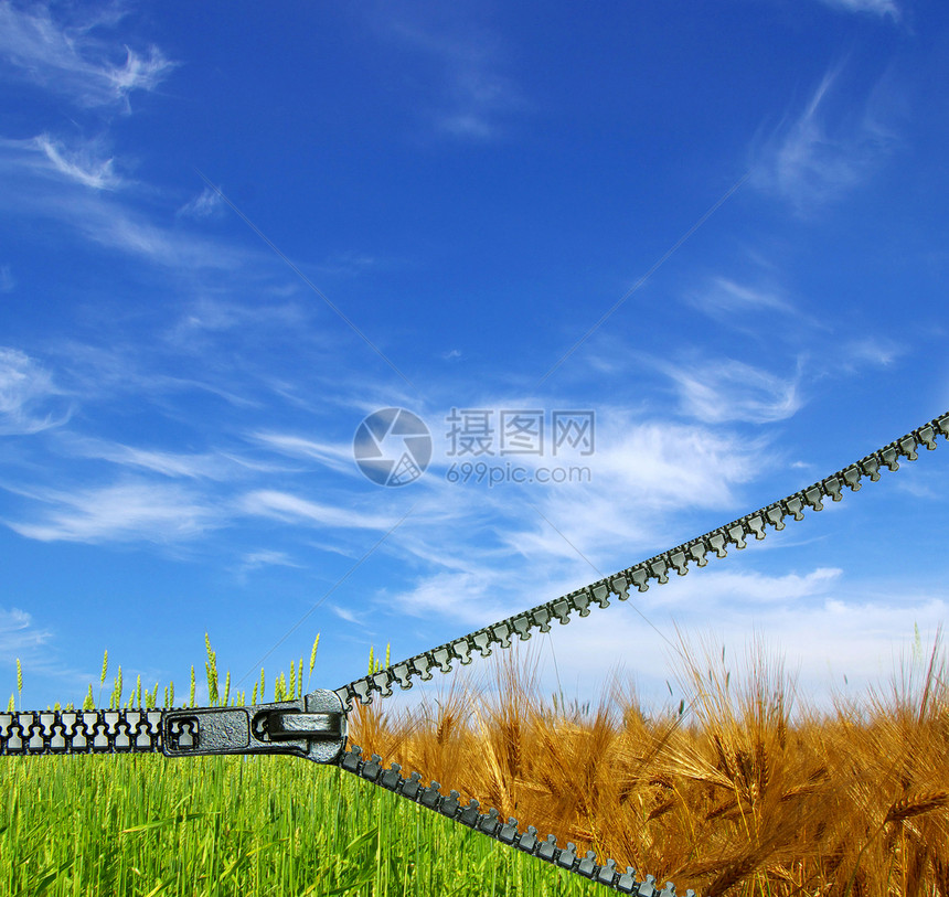 字段面包黄色小麦稻草场地生长农民拉链生产粮食图片