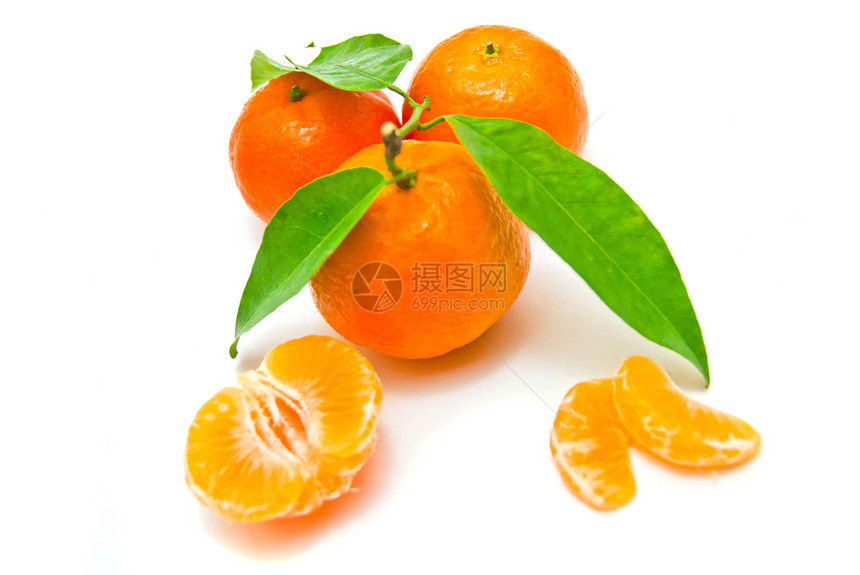 白色树枝上的新橘子图片