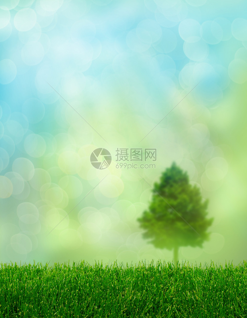 绿草春的幻想天空生长场地绿色环境背景植物群季节草地射线图片