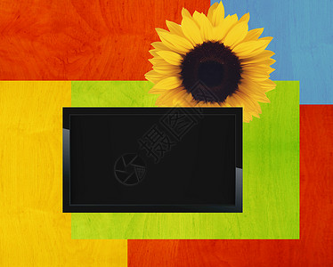 黑色LCD Tv娱乐薄膜技术展示优雅液体屏幕晶体管宽屏电视背景图片