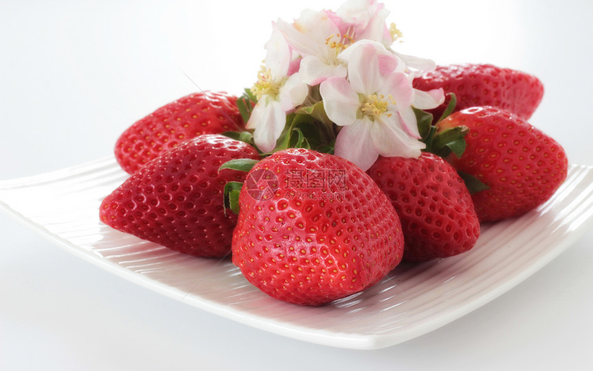 红草莓绿色饮食食物农业浆果白色植物红色花园植物群图片