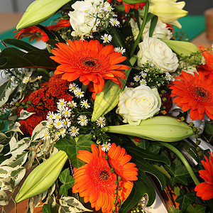 色彩多彩的Gerbera花朵装饰混合物礼物园艺橙红色铭文正方形庆典花束玫瑰花艺背景图片