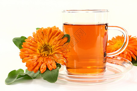 美甲茶绿色药材叶子茶杯防腐剂植物橙子自然花朵草药高清图片