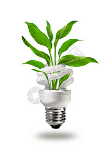 绿色节能灯灯光荧光植物生态储蓄白色环境力量活力经济背景图片
