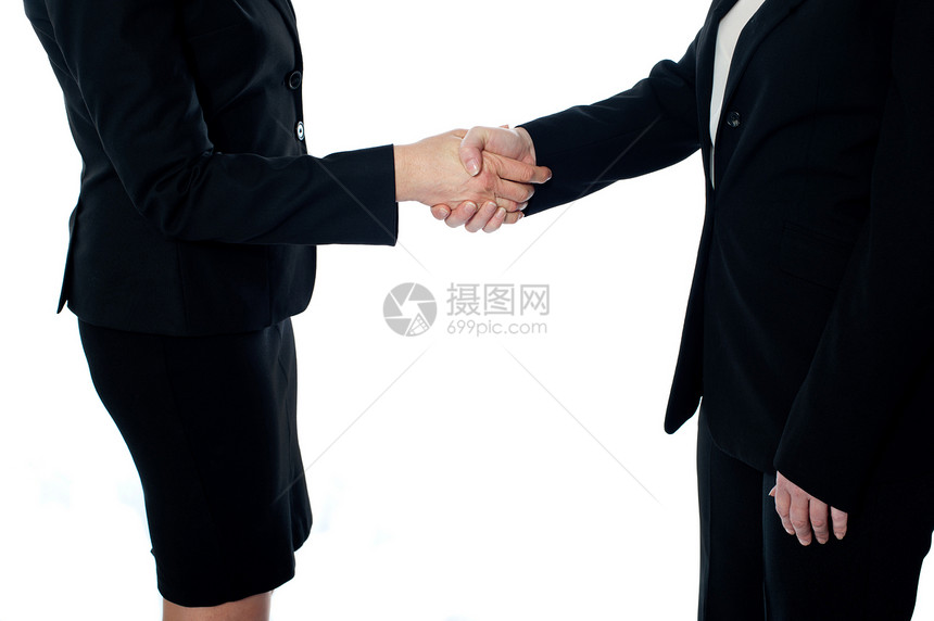 生意交易 握手商业协议雇员职业人士女士女性工作问候语正装图片