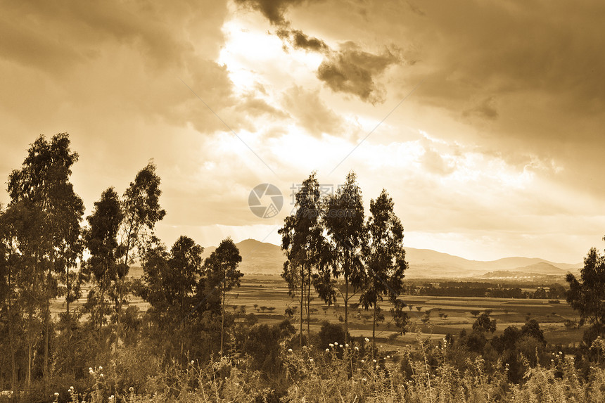 埃塞俄比亚的农村地貌乌云乡村风雨天气灌木丛树木图片