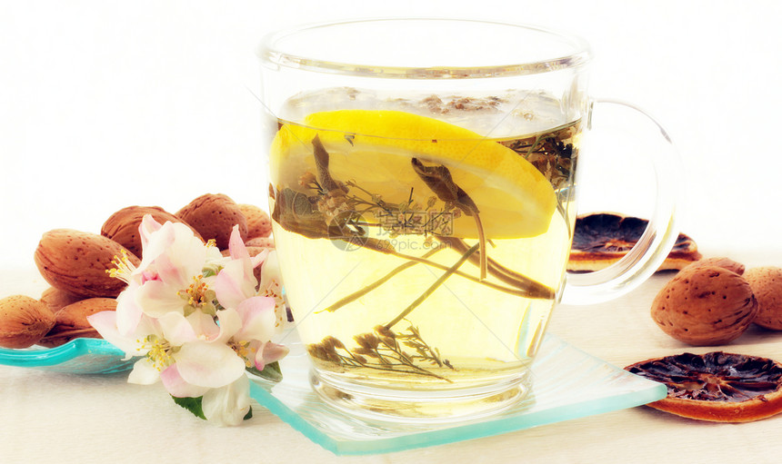来杯茶雏菊草本植物玻璃蒸汽服务药品杯子桌子压力植物图片