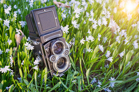 双镜头照相机花朵美术绿色艺术摄影照片背景图片