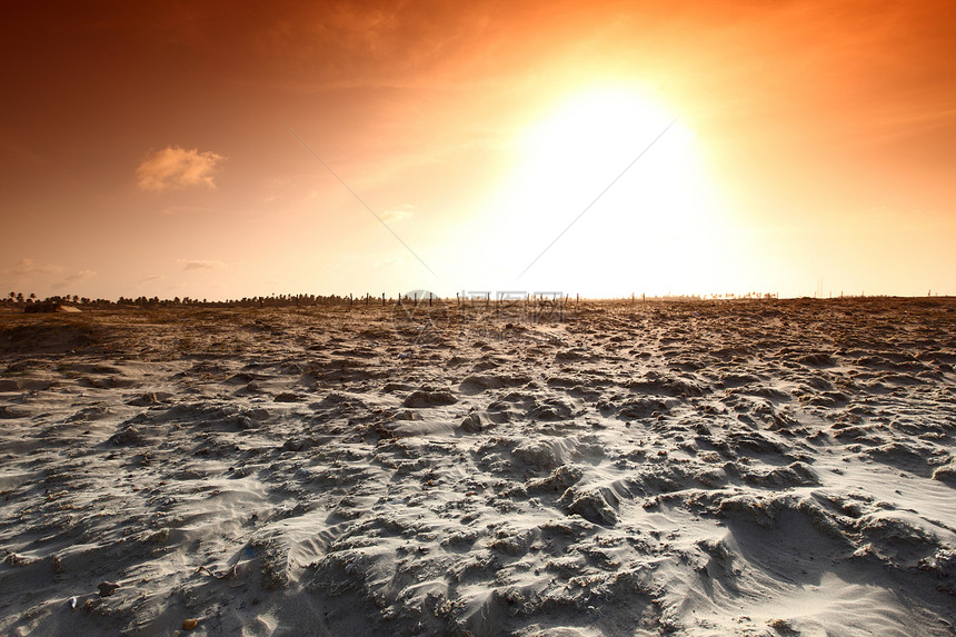 沙漠地区橙子旅行干旱地形勘探新月形口渴沙丘全景寂寞图片