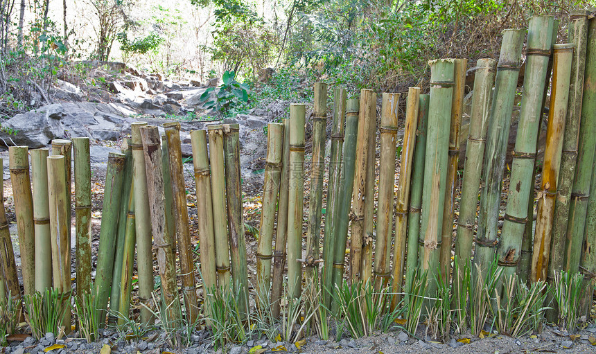 竹子围栏树枝木头栅栏装饰热带风水绑定管道丛林文化图片
