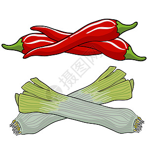 日常食用的洋葱润滑油和红辣椒 矢量说明美味红色插图蔬菜辣椒韭葱食物文化艺术绿色插画