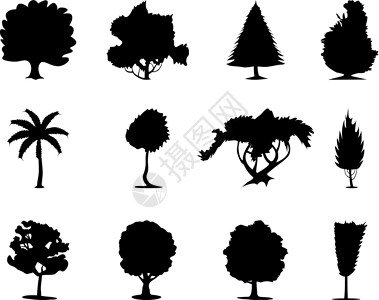 树树图标2背景图片