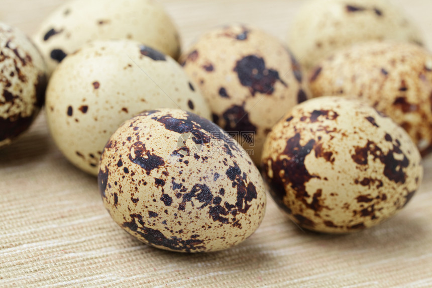 蛋美食鹌鹑团体饮食工作室农场家禽脆弱性熟食母鸡图片