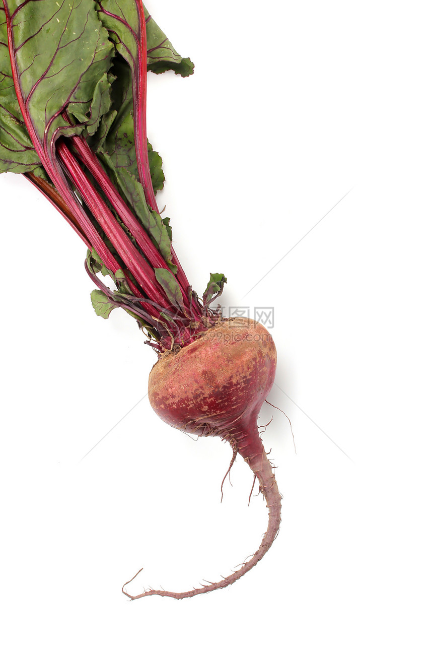 红甜菜树叶煮沸园艺红色蔬菜美食营养食物紫色白色图片