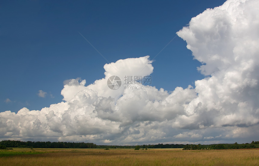 夏季地平天空风景牧场蓝色草地绿色场景环境土地场地乡村图片