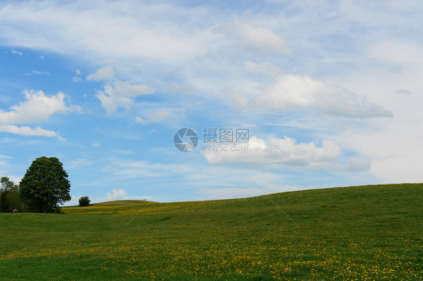 夏季夏月植物群农村森林乐趣风景极乐假期孤独农场场景图片