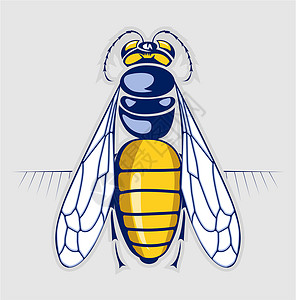 蜜蜂蜂蜜 刺青昆虫插画