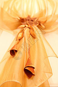 碎片块产品装饰刺绣框架金子材料薄纱诀窍宏观裙子背景图片