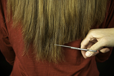 发型师用剪刀剪长长的头发蜜蜂高清图片
