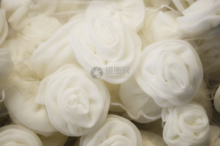 白玫瑰玫瑰新娘白色图片