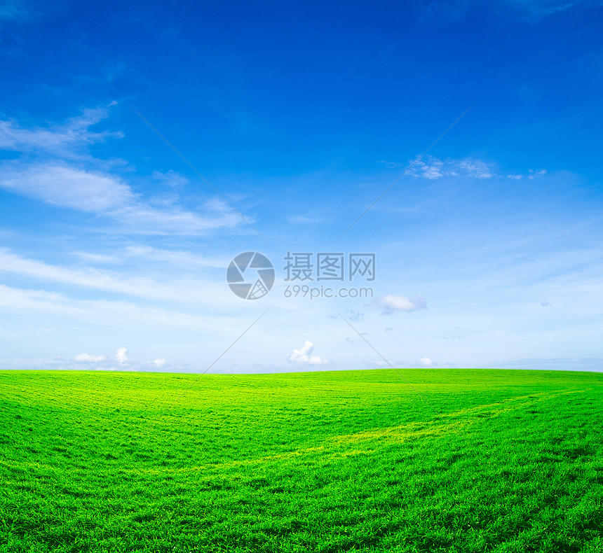 字段农场季节全景草地风景牧场乡村场地远景绿色图片