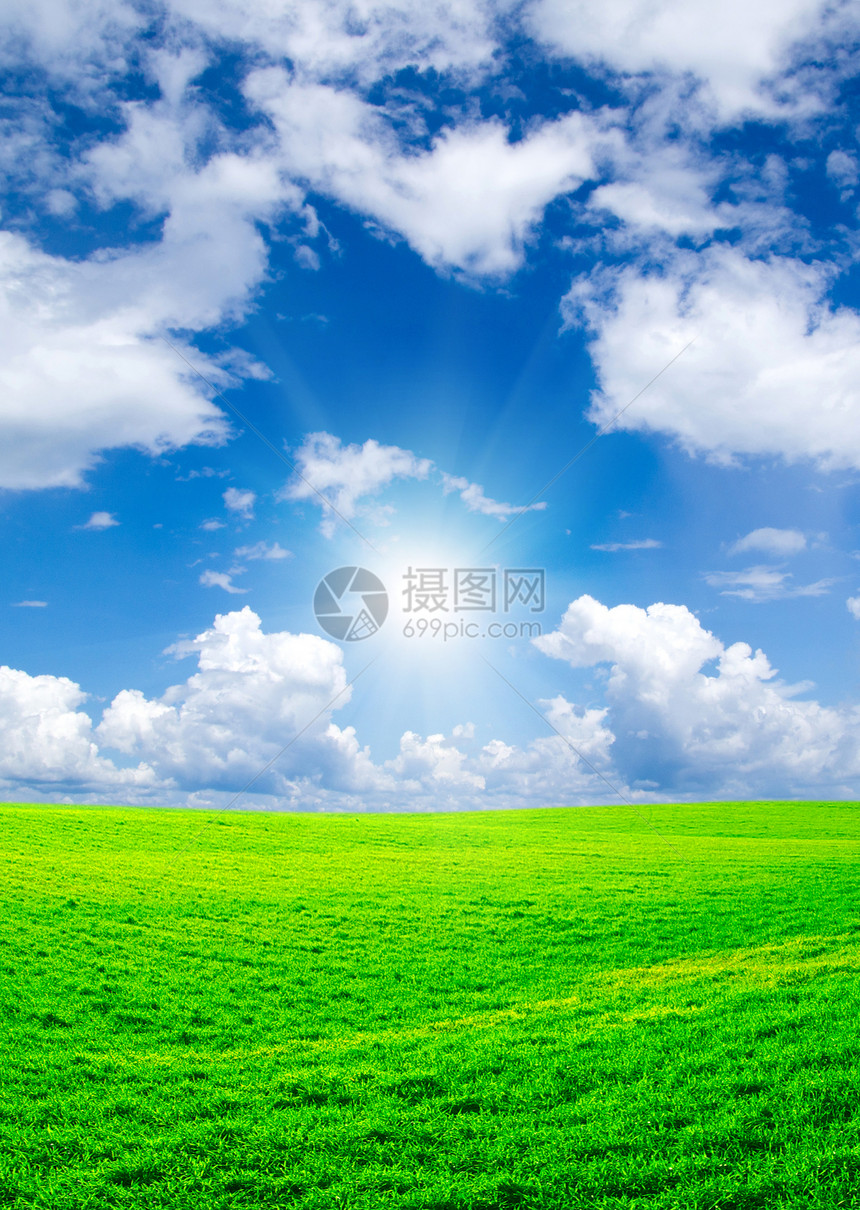 字段地平线牧场绿色乡村风景天空农业天气植物全景图片