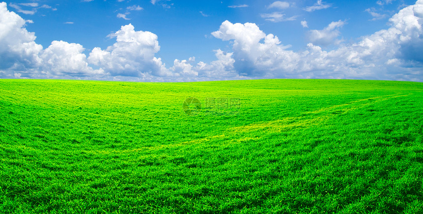 字段全景植物绿色牧场场地农业天空地平线阳光远景图片