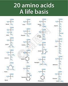 缬氨酸氨酸技术原子粒子化学桌子科学生活生物学公式医疗设计图片