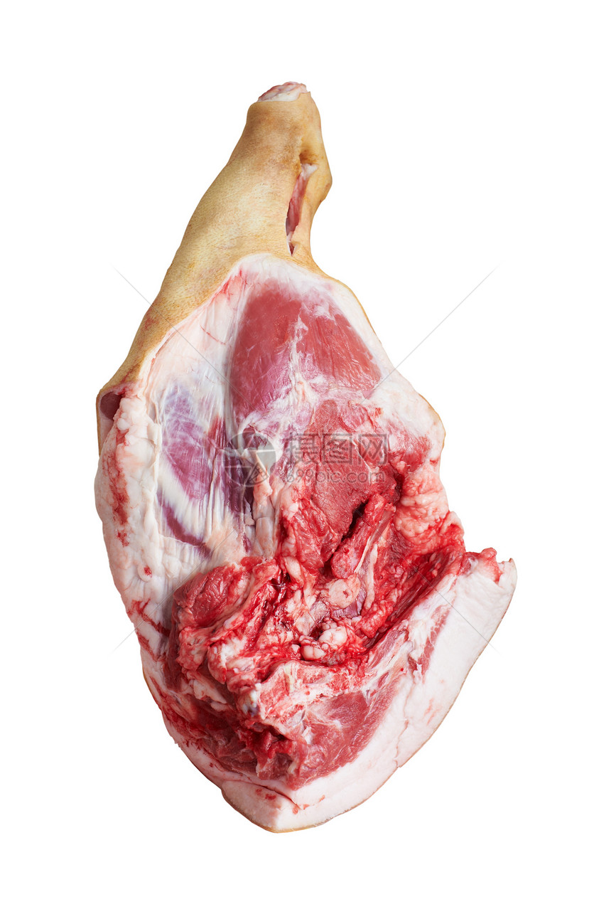 肉肉 猪腿图片
