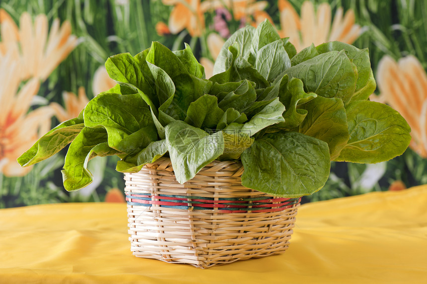 新鲜有机蔬菜食物农业红色黄瓜生长花园白色绿色素食图片