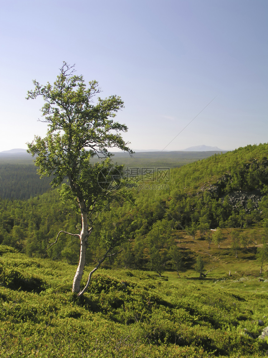 山地景观国家自由环境叶子地平线生态季节蓝色天空木头图片