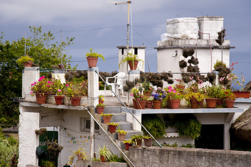 马 提拉公园区系房子绿色花朵房屋植物群花园建筑物植物学图片